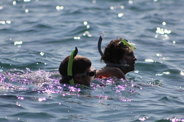 Visita guiada de snorkel